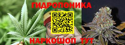 Альфа ПВП Кунгур
