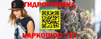 мяу мяу мука Кулебаки