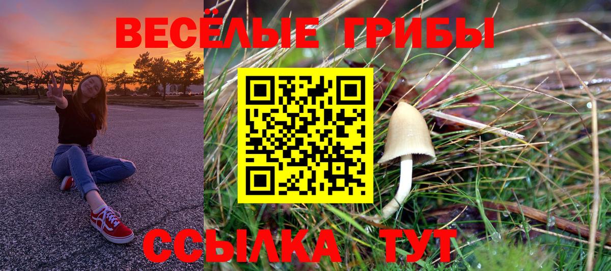 Галлюциногенные грибы мицелий Щёкино
