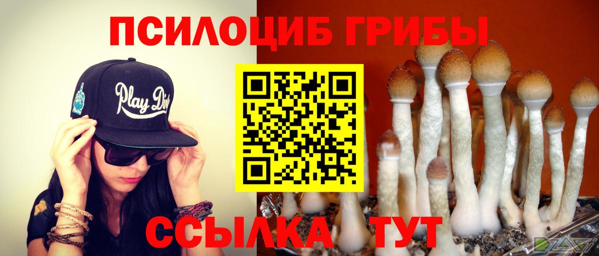 Галлюциногенные грибы Magic Shrooms  Псилоцибиновые грибы мицелий  Щёкино  Вход с VPN 